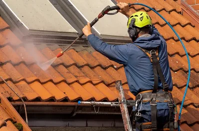 Démoussage et hydrofuge de toiture à Bertignat